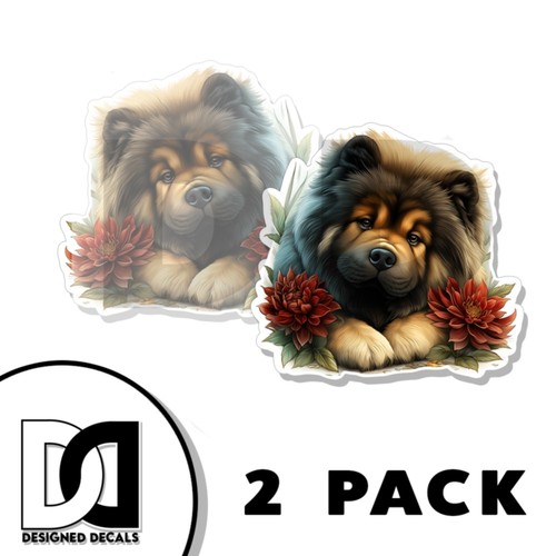 Chow cucciolo - chow,