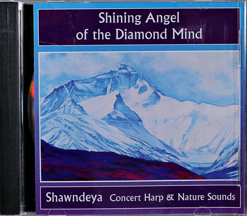 Shawndeya shining angel of - angel,