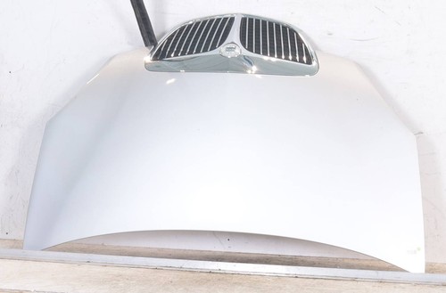 Cofano anteriore 51732277 - cofano,