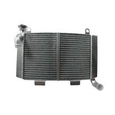 ✅Radiatore in lega per