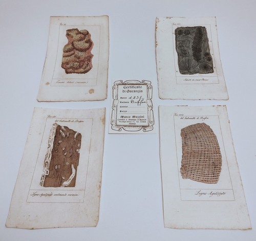 Buffon 1832 lotto tavole - 1832,