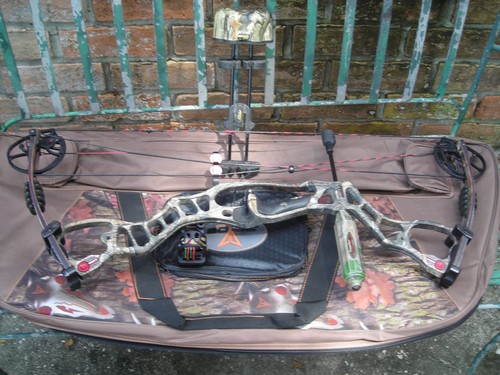 Hoyt vector compund bow - vector,