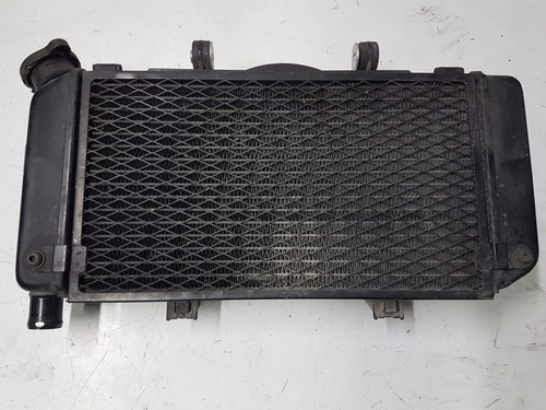 Radiatore yamaha tdm - radiatore,