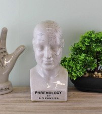 Busto testa frenologica
