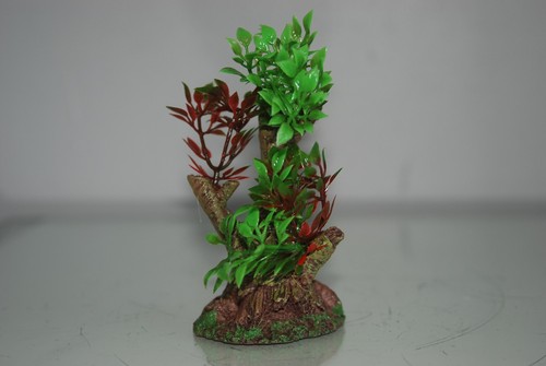 Acquario bonsai pianta piccolo - acquario,