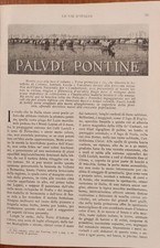 PALUDI PONTINE (estratto del