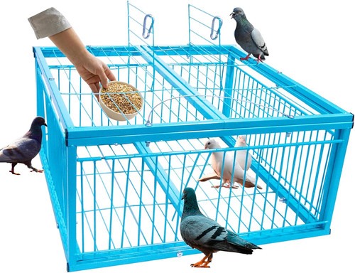 Gabbia trappola per piccioni