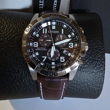 Citizen eco drive perpetual - citizen,