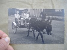 CARTOLINA DI RIMINI 1957 CON BAMBINI, CARRETTINO E SOMARELLO