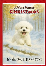 Biglietto di Natale Bichon
