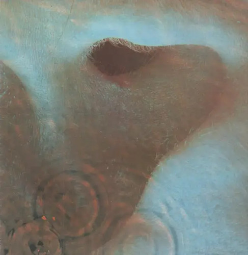 Pink floyd meddle - meddle, gatefold
