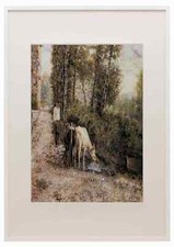 Zampighi Eugenio mucche che