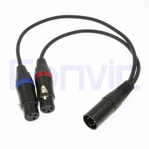 Cavo ingresso audio canali - cavo,