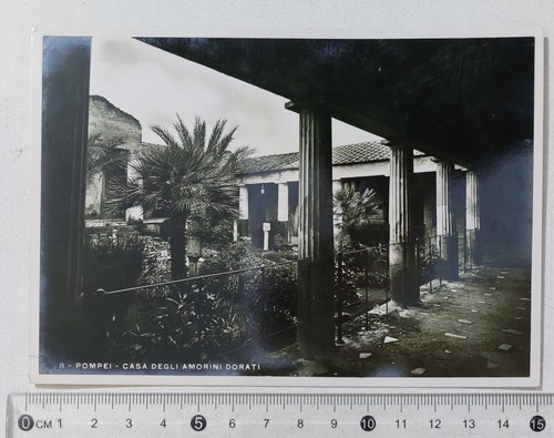 I123489 10182 cartolina - cartolina,