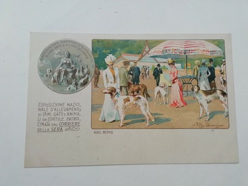 Cartolina esposizione - cartolina,