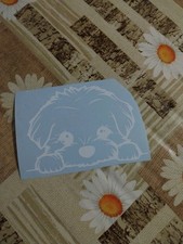 Adesivo AUTO CANE MALTESE CUCCIOLO 12 x 8H CM PVC Bianco VINILE STICKERS PRESPA