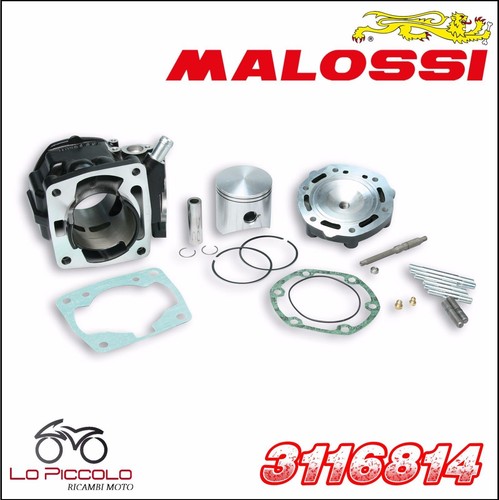 316814 gruppo termico malossi - 316814,