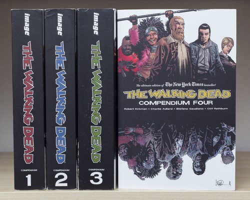 The walking dead serie - the,