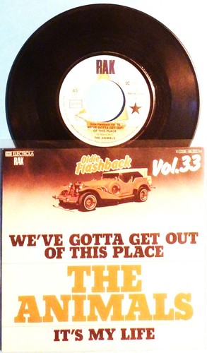 The animals single - animals,