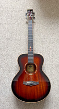 Tanglewood twx1ek - tanglewood,