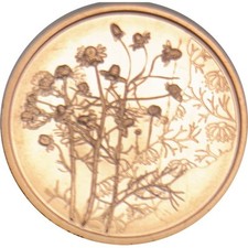 10 euro Austria 2023 fdc Linguaggio dei Fiori: Camomilla