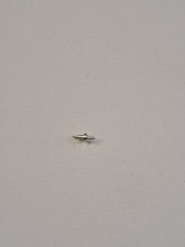 Asse Bilanciere Orologio