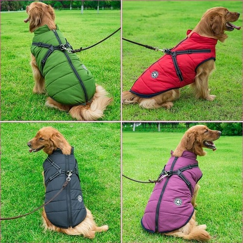 Cappottino invernale cane