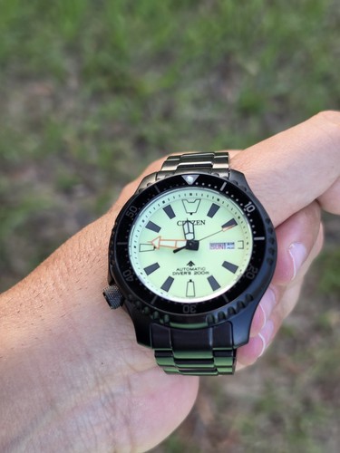 Citizen promaster dive - citizen,
