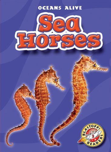 Sea horses - horses, alive)