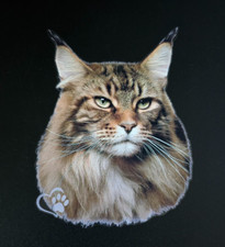 Adesivo Maine-Coon Sticker