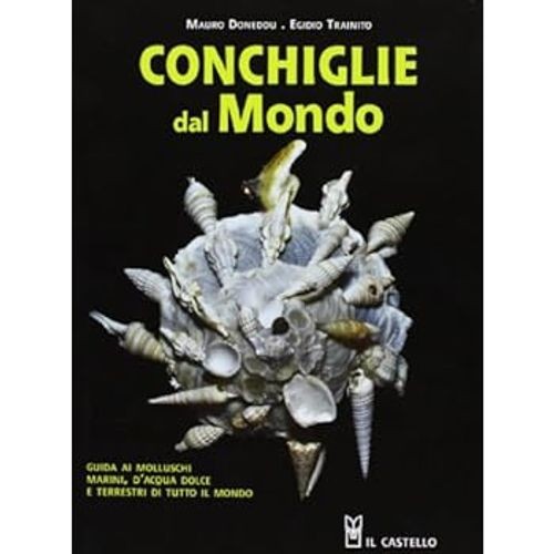 Conchiglie dal mondo - ., ediz