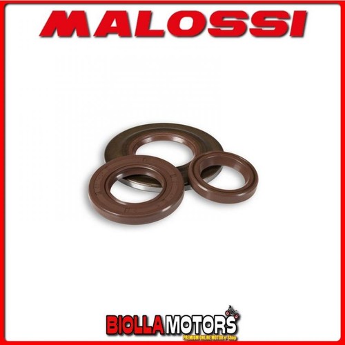 6618069 kit paraolio motore - kit,