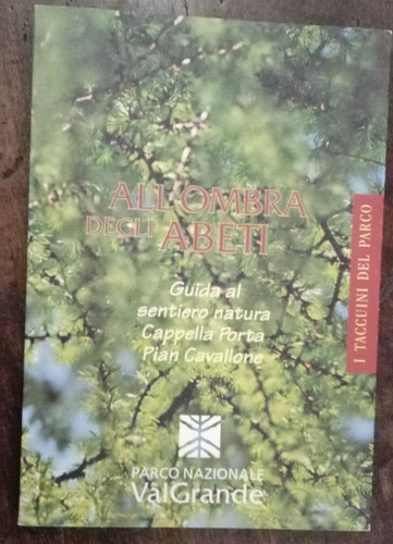 All ombra degli abeti - abeti,