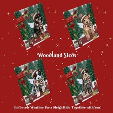 Calamita frigo foto cane gatto