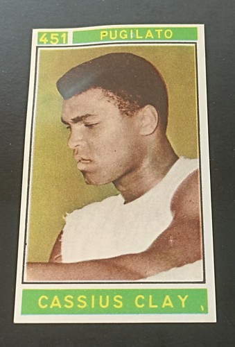 Boxing card panini - card,