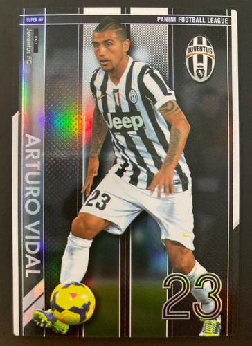 2014 panini football league - panini,