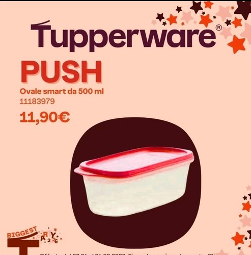 Tupperware ovale 500ml - n°1,