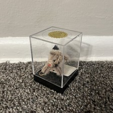Artist Chu Ming Wu Little Gem