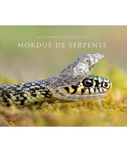 Mordus serpents bonnet - mordus,