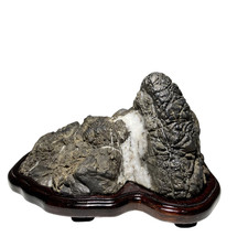 Bonsai di pietra da vista