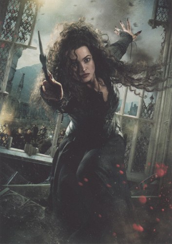 Panini harry potter saga - potter,