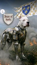 Dogo Argentino GIOVANNA DI