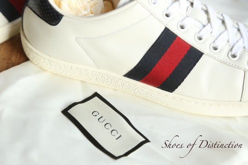 Scarpe ginnastica gucci ace - scarpe, da