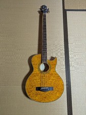 Basso chitarra elettrica acustica Samick Greg Bennett Design consegna sicura da Japa
