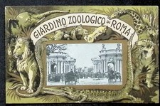 Giardino Zoologico di Roma -