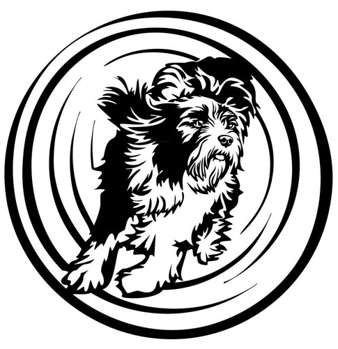 Adesivo bearded collie - adesivo,