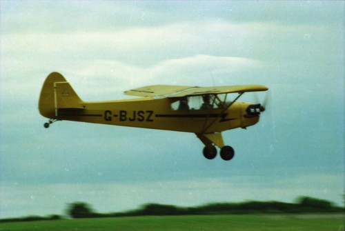 Negativo bjsz piper 3c - negativo, g-bjsz