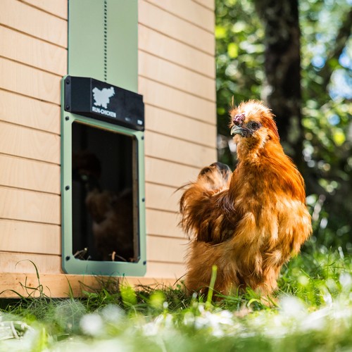 Porta originale run chicken - originale, run-chicken
