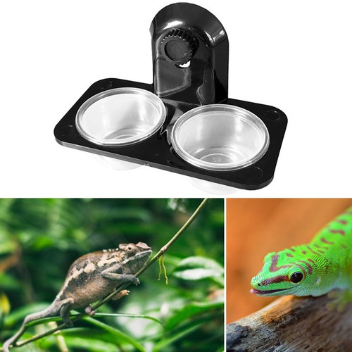 Animal reptile mangeoire - 1,