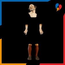 Pastore napoletano testa mani